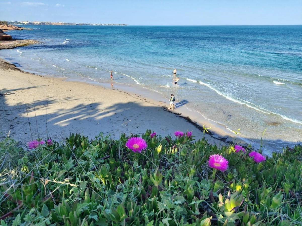 El Apartamento De Papá - Mil Palmeras Dehesa de Campoamor  Exterior foto