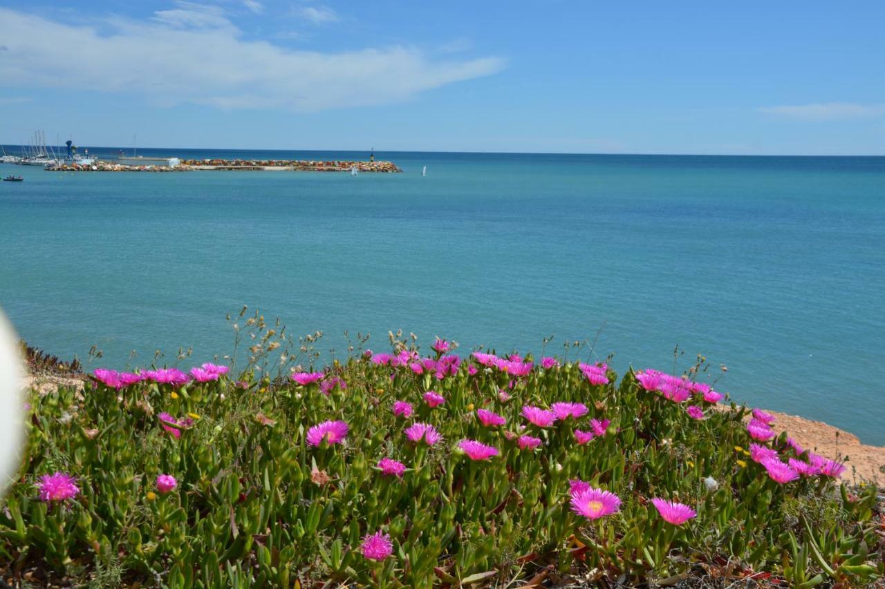 El Apartamento De Papá - Mil Palmeras Dehesa de Campoamor  Exterior foto
